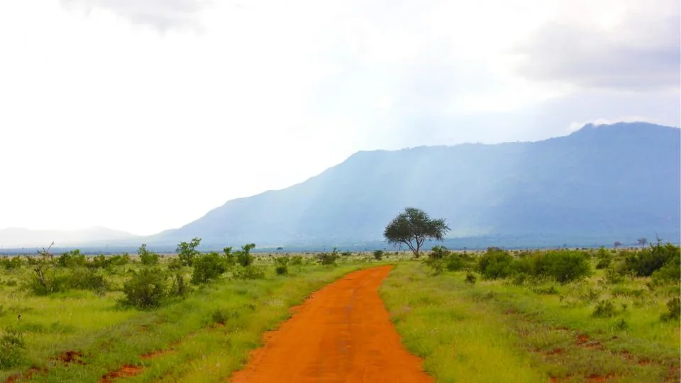 A red dirt road running through green scrub toward distant hills